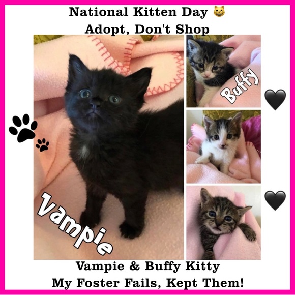 Thanks for Joining Me PFFS! SPREAD #PoshLove & Share ๐ป โPETS Posh Party" 2/08 - Picture 5 of 10